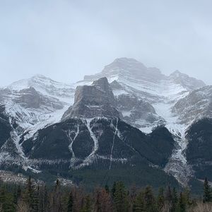 Meet your Posher, Morgan